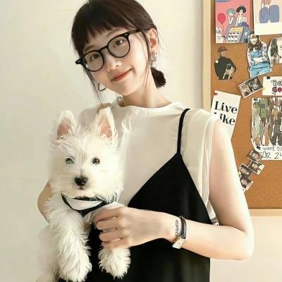 荡寇新传